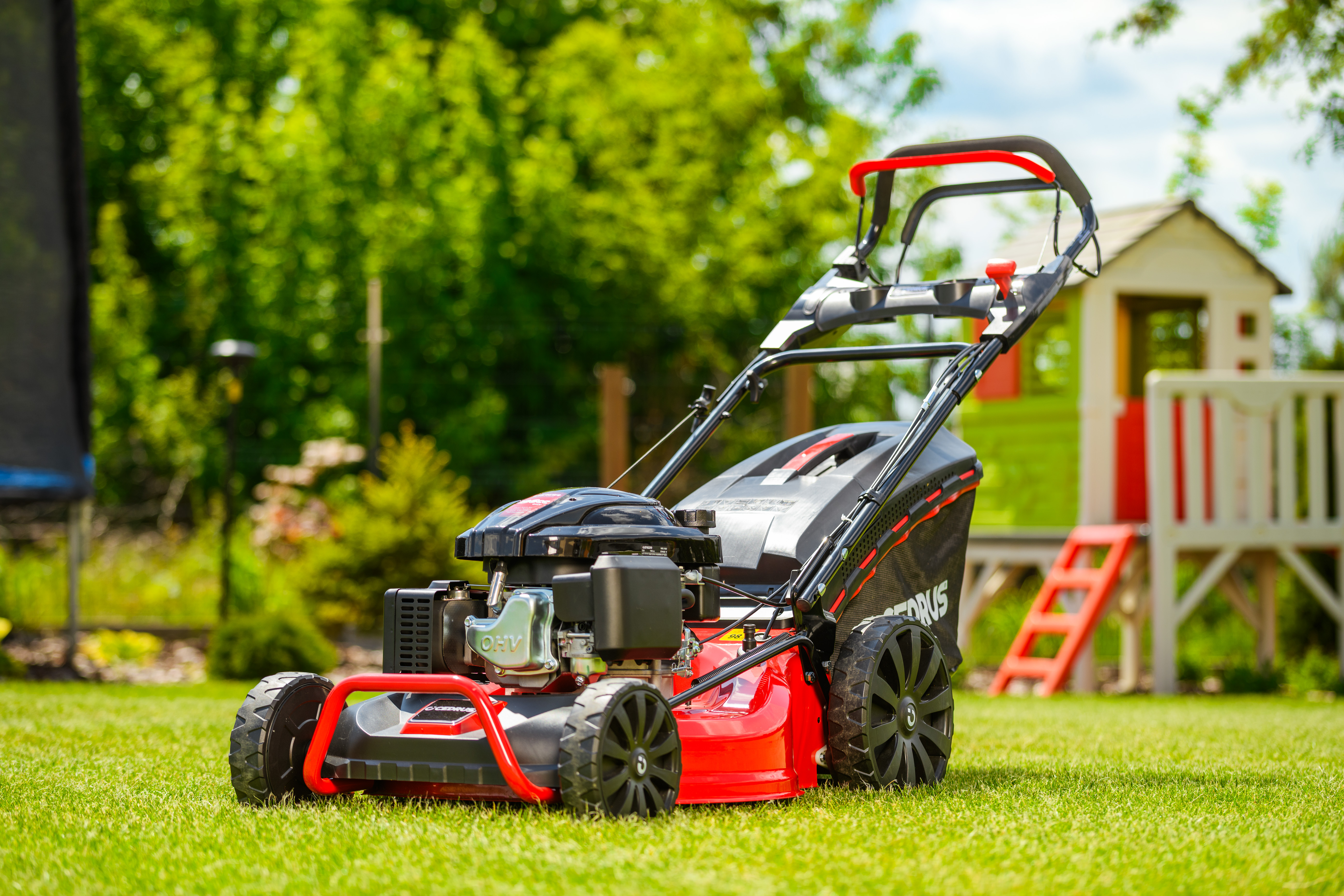 2025-Cedrus_Kosiarka_B__023