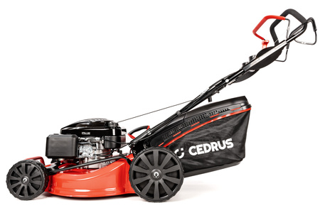 Kosiarka Cedrus CEDKS53S-L z napędem