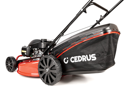 Kosiarka Cedrus CEDKS56S-H z napędem