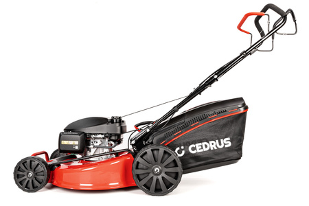 Kosiarka Cedrus CEDKS56S-H z napędem