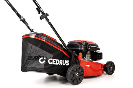Kosiarka Cedrus CEDKS42S z napędem
