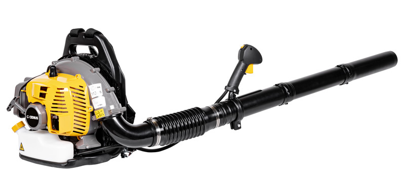 DMUCHAWA SPALINOWA DO LIŚCI CEDRUS DM04 ODKURZACZ DM04 DMUCHAWA DO LIŚCI CEDDM04 - FASHION GARDEN - OFICJALNY DYSTRYBUTOR - AUTORYZOWANY DEALER CEDRUS pol_pl_DMUCHAWA-SPALINOWA-DO-LISCI-CEDRUS-DM04-ODKURZACZ-DM04-DMUCHAWA-DO-LISCI-CEDDM04-FASHION-GARDEN-OFICJALNY-DYSTRYBUTOR-AUTORYZOWANY-DEALER-CEDRUS-14576_1