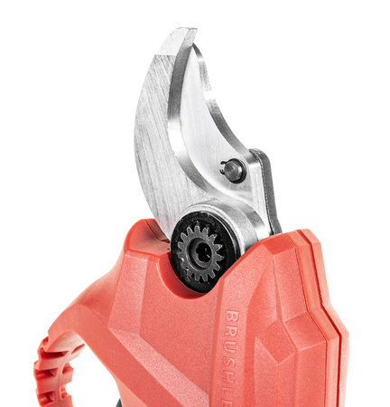 Sekator akumulatorowy Cedrus CEDBP30LI